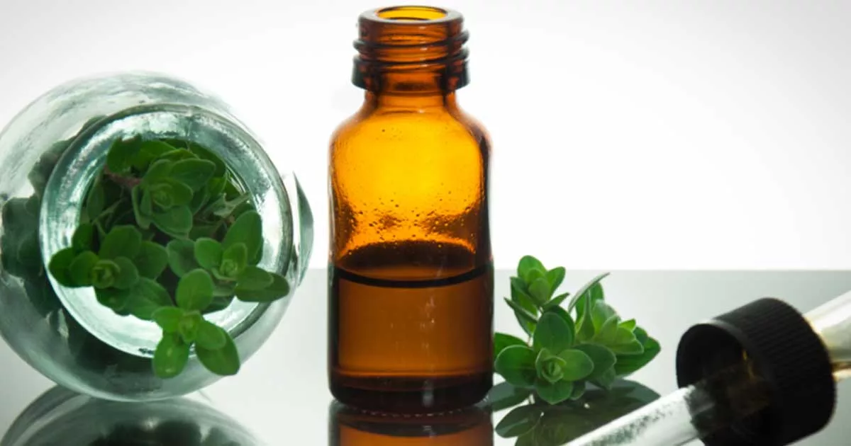 Az oregano olaj egészségre gyakorolt hatásai